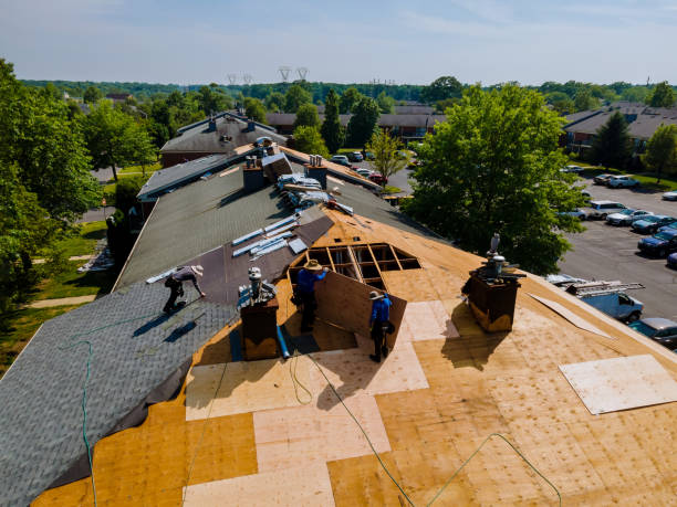 24/7 Emergency Metal Roofing experts in Hall, MT